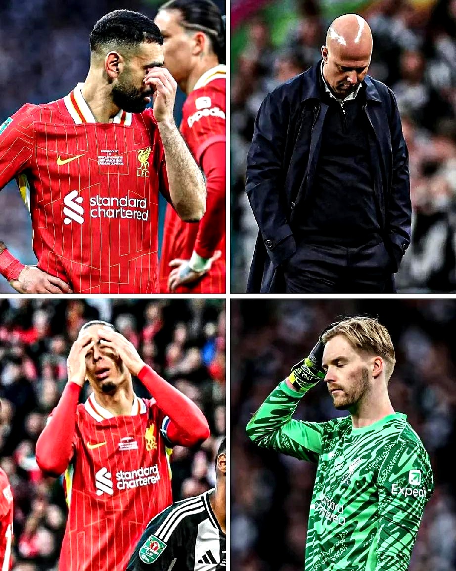 kaiyun网站-研发流程的六个阶段